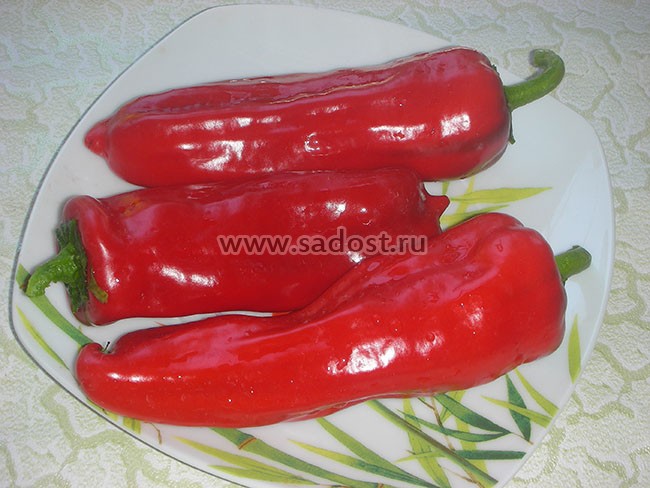 Семена:Перец пикантный Пепперончини /Pepperoncini/ Семена:Перец пикантный Пепперончини /Pepperoncini/