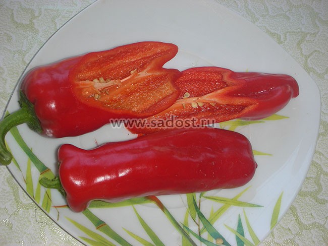 Семена:Перец пикантный Пепперончини /Pepperoncini/ Семена:Перец пикантный Пепперончини /Pepperoncini/
