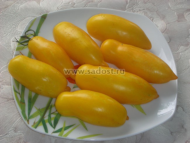 Томат Банановые ноги /Banana Legs/ Томат Банановые ноги /Banana Legs/