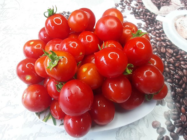 Семена: Томат Акробат красный /Tumbling Red/ Семена: Томат Акробат красный /Tumbling Red/