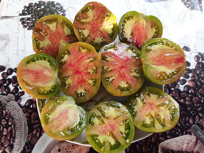 Семена: Томат Брюссельский фестиваль помидоров /Brussel tomato festival/ Семена: Томат Брюссельский фестиваль помидоров /Brussel tomato festival/