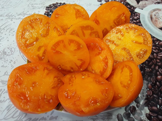 Семена: Томат Оранжевый бочок Семена: Томат Оранжевый бочок