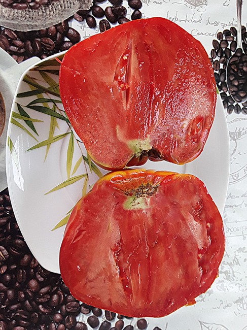 Семена: Томат Польская слива тети Сварло /Aunt Swarlo«s Polish Plum/ Семена: Томат Польская слива тети Сварло /Aunt Swarlo«s Polish Plum/