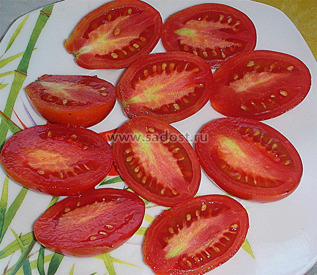 Семена низкорослых помидоров купить. Семена томат акварель. Помидоры сорт акварель. Семена томат акварель 20 шт.