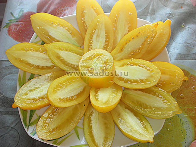 Томат Банановые ноги /Banana Legs/ Томат Банановые ноги /Banana Legs/
