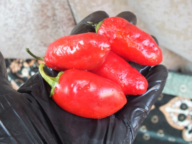 Семена: Перец умеренно-острый Халапеньо Там /Tam Jalapeno/ Семена: Перец умеренно-острый Халапеньо Там /Tam Jalapeno/