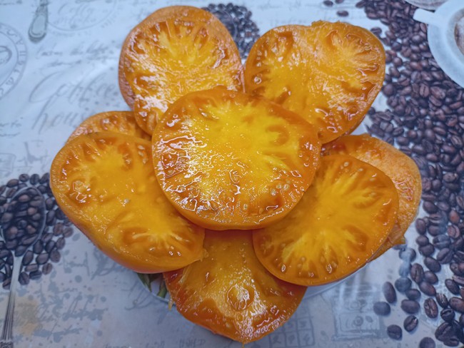Семена: Томат Амишей Оранжевый Щербет /Amish Orange Sherbet/ Семена: Томат Амишей Оранжевый Щербет /Amish Orange Sherbet/