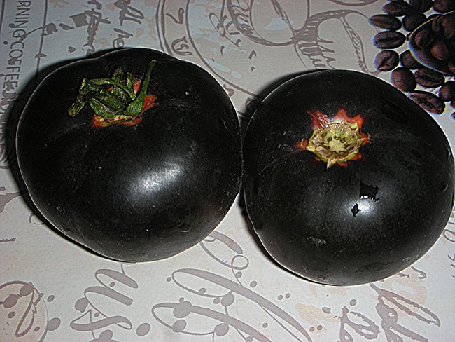 Черная красавица - томат с необычным цветом
