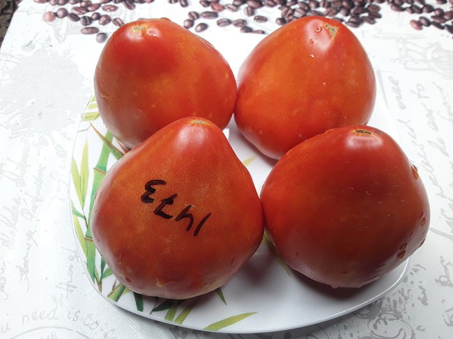 Семена: Томат Фьюб /Fueb/ Семена: Томат Фьюб /Fueb/