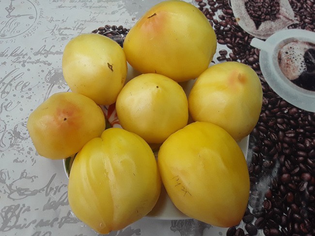 Семена: Томат Желтое сердце Евы /Eva’s Yellow Heart/ Семена: Томат Желтое сердце Евы /Eva’s Yellow Heart/