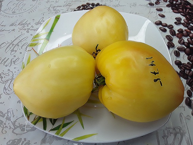 Семена: Томат Желтое сердце Евы /Eva’s Yellow Heart/ Семена: Томат Желтое сердце Евы /Eva’s Yellow Heart/