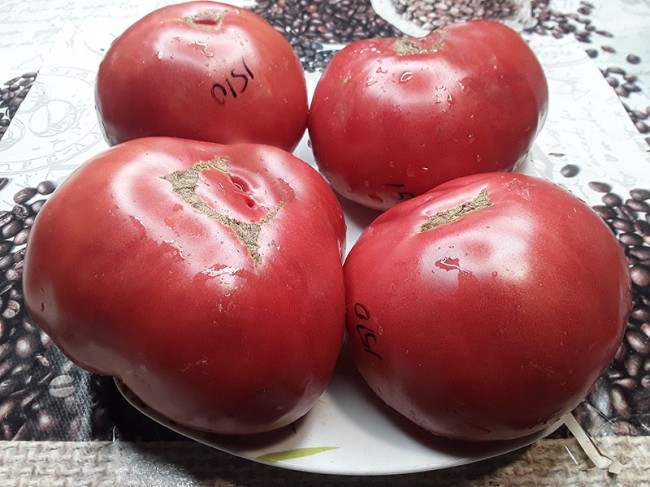Семена: Томат От Батюшки Макария Семена: Томат От Батюшки Макария