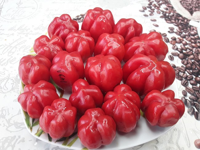 Семена: Томат Розовая клубника /Fragola rosata/ Семена: Томат Розовая клубника /Fragola rosata/