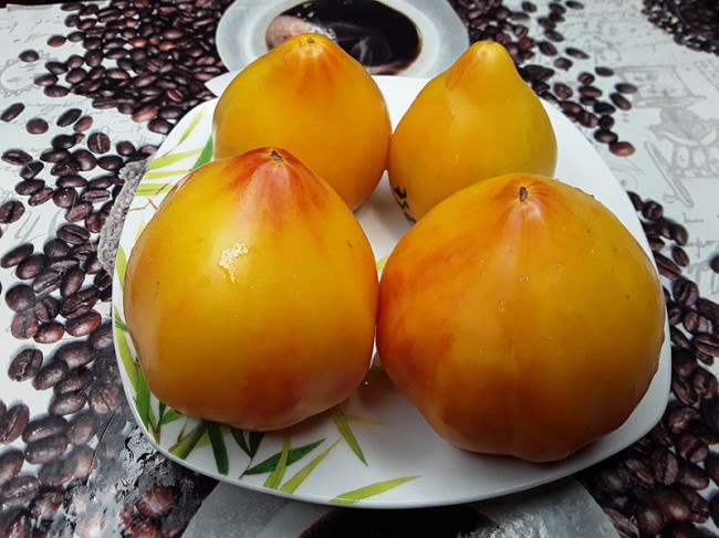 Семена:Томат Сердце Абрикосовой Зебры /Coeur De Zebre Apricot/ Семена:Томат Сердце Абрикосовой Зебры /Coeur De Zebre Apricot/