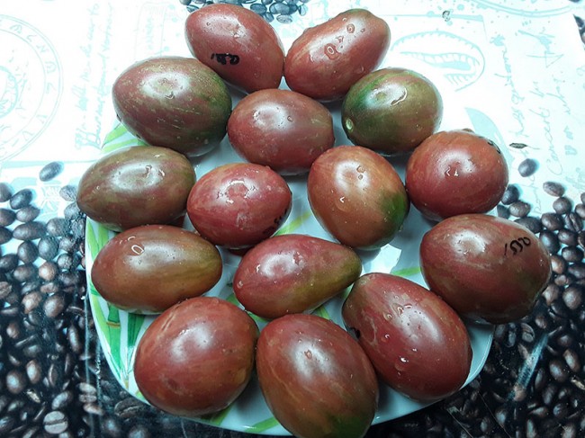 Семена:Томат Сливовый виски Дина /Dean`s Wiskeb Plum/ Семена:Томат Сливовый виски Дина /Dean`s Wiskeb Plum/