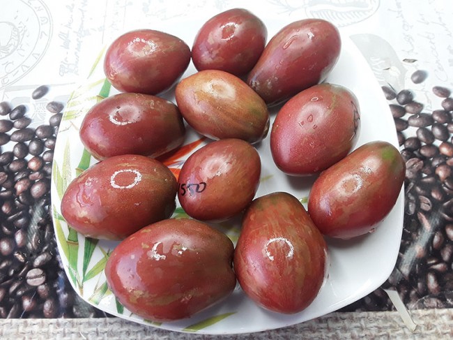 Семена:Томат Сливовый виски Дина /Dean`s Wiskeb Plum/ Семена:Томат Сливовый виски Дина /Dean`s Wiskeb Plum/