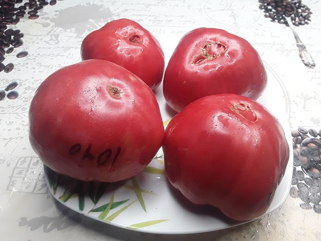 Семена:Томат Томат силы /Pomodoro della Sila/ Семена:Томат Томат силы /Pomodoro della Sila/
