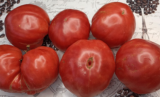 Семена:Томат Томат силы /Pomodoro della Sila/ Семена:Томат Томат силы /Pomodoro della Sila/
