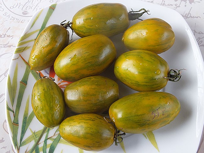 Семена: Томат Зеленая зебра паста /Green Zebra Paste/ Семена: Томат Зеленая зебра паста /Green Zebra Paste/