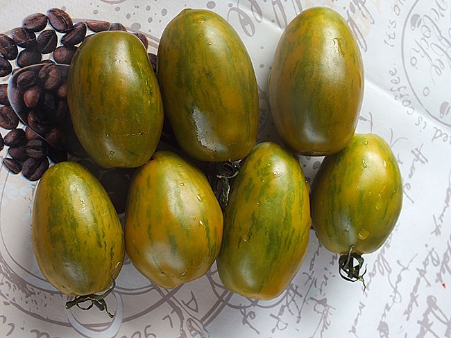 Семена: Томат Зеленая зебра паста /Green Zebra Paste/ Семена: Томат Зеленая зебра паста /Green Zebra Paste/
