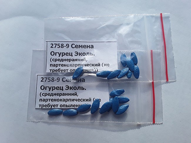 Семена: Огурец Эколь. Семена: Огурец Эколь.